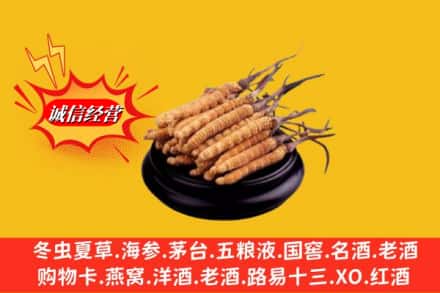 农安县求购回收虫草多少钱每克